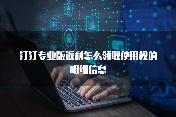 钉钉专业版返利怎么领取使用权的明细信息