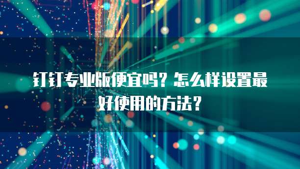 钉钉专业版便宜吗?怎么样设置最好使用的方法?