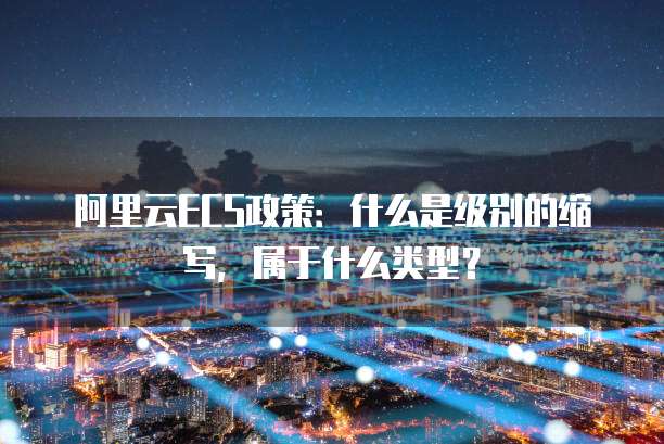 阿里云ECS政策:什么是级别的缩写,属于什么类型?