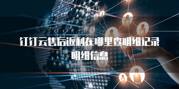 钉钉云售后返利在哪里查明细记录明细信息