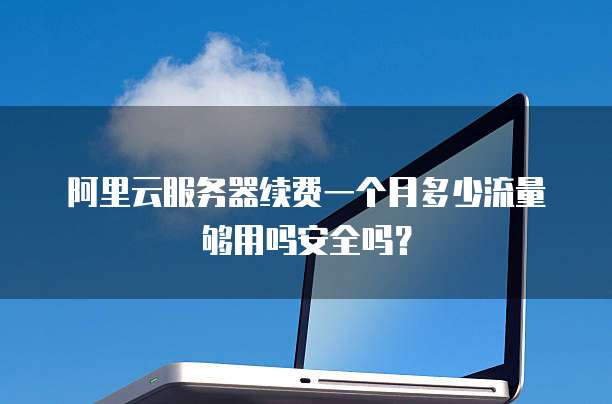 阿里云服务器续费一个月多少流量够用吗安全吗?