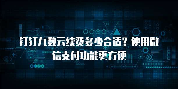 钉钉九数云续费多少合适?使用微信支付功能更方便