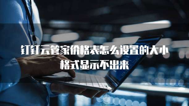 钉钉云管家价格表怎么设置的大小格式显示不出来