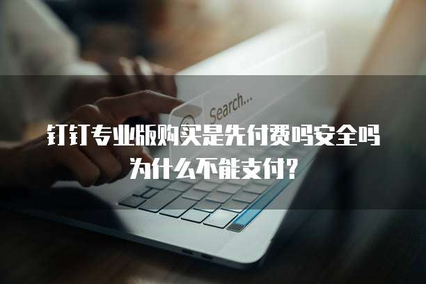 钉钉专业版购买是先付费吗安全吗为什么不能支付?