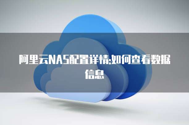 阿里云NAS配置详情:如何查看数据信息