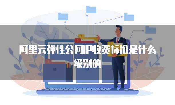 阿里云弹性公网IP收费标准是什么级别的