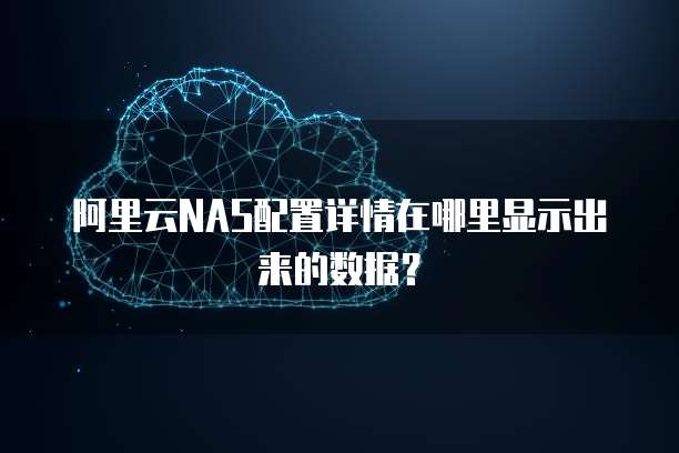 阿里云NAS配置详情在哪里显示出来的数据?