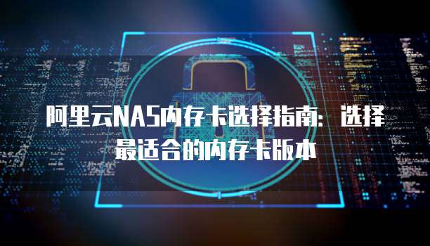 阿里云NAS内存卡选择指南:选择最适合的内存卡版本