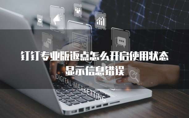 钉钉专业版返点怎么开启使用状态显示信息错误