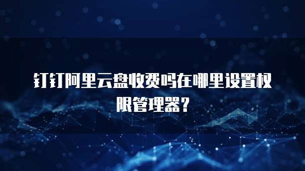 钉钉阿里云盘收费吗在哪里设置权限管理器?