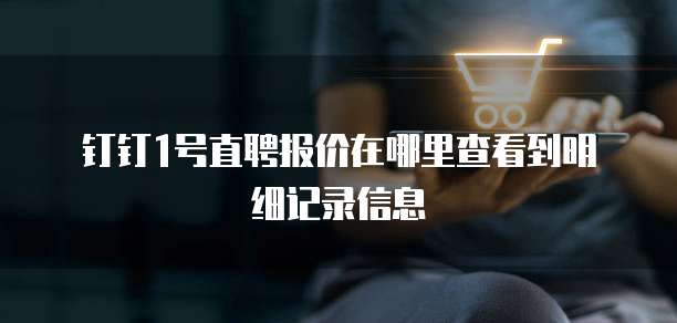 钉钉1号直聘报价在哪里查看到明细记录信息