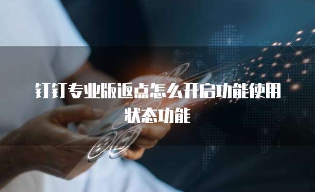 钉钉专业版返点怎么开启功能使用状态功能