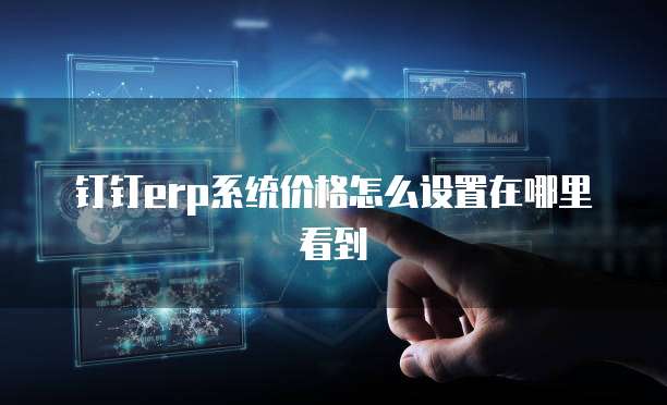钉钉erp系统价格怎么设置在哪里看到