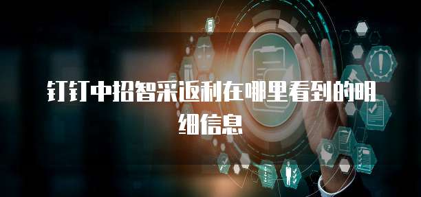 钉钉中招智采返利在哪里看到的明细信息