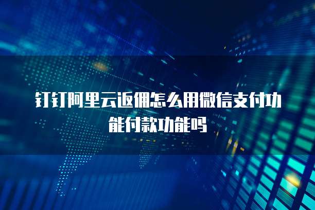 钉钉阿里云返佣怎么用微信支付功能付款功能吗
