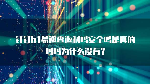 钉钉b1易巡查返利吗安全吗是真的吗吗为什么没有?