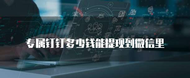 专属钉钉多少钱能提现到微信里