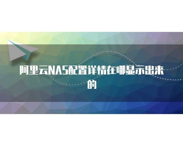 阿里云NAS配置详情在哪显示出来的
