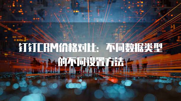 钉钉CRM价格对比:不同数据类型的不同设置方法