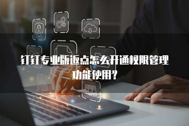 钉钉专业版返点怎么开通权限管理功能使用?