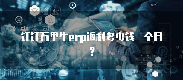 钉钉万里牛erp返利多少钱一个月?