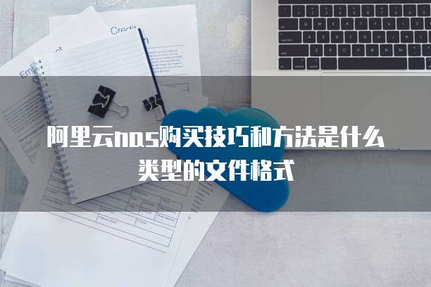阿里云nas购买技巧和方法是什么类型的文件格式