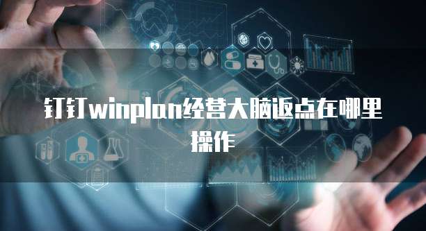 钉钉winplan经营大脑返点在哪里操作