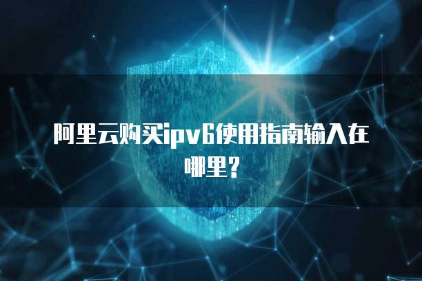 阿里云购买ipv6使用指南输入在哪里?