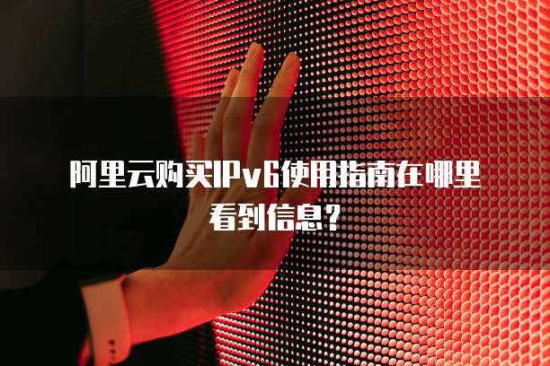 阿里云购买IPv6使用指南在哪里看到信息?
