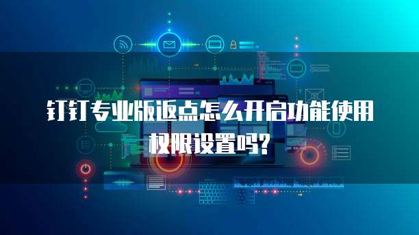 钉钉专业版返点怎么开启功能使用权限设置吗?