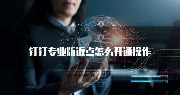 钉钉专业版返点怎么开通操作