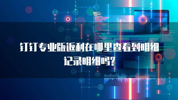 钉钉专业版返利在哪里查看到明细记录明细吗?
