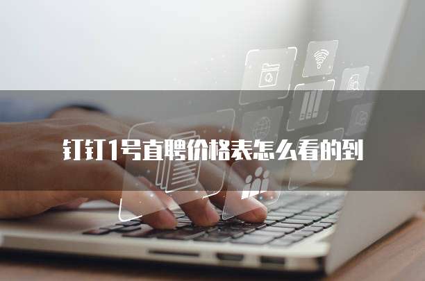 钉钉1号直聘价格表怎么看的到