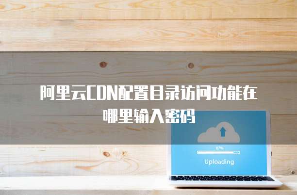阿里云CDN配置目录访问功能在哪里输入密码