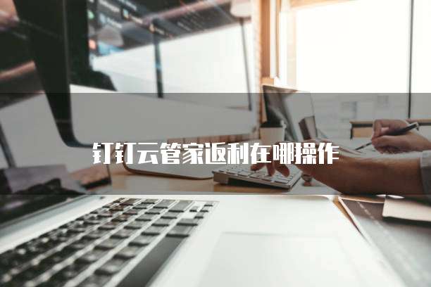 钉钉云管家返利在哪操作