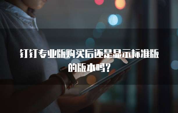 钉钉专业版购买后还是显示标准版的版本吗?