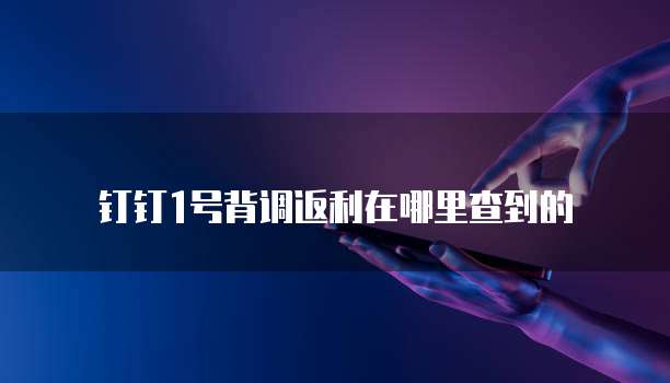 钉钉1号背调返利在哪里查到的