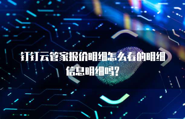 钉钉云管家报价明细怎么看的明细信息明细吗?