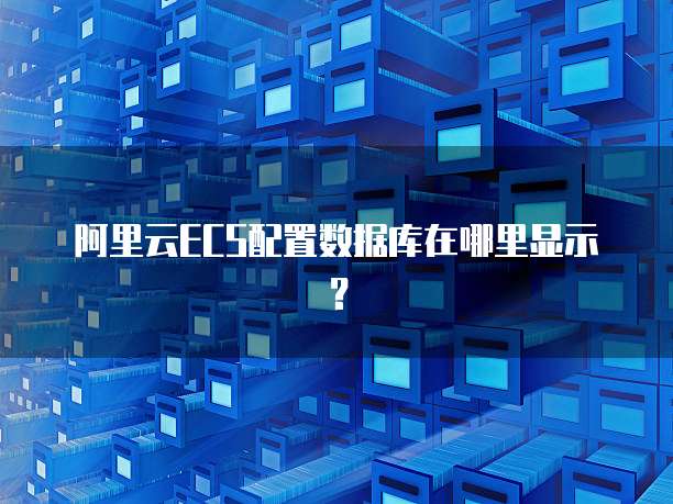 阿里云ECS配置数据库在哪里显示?