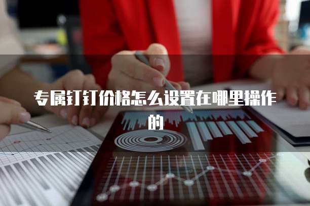 专属钉钉价格怎么设置在哪里操作的