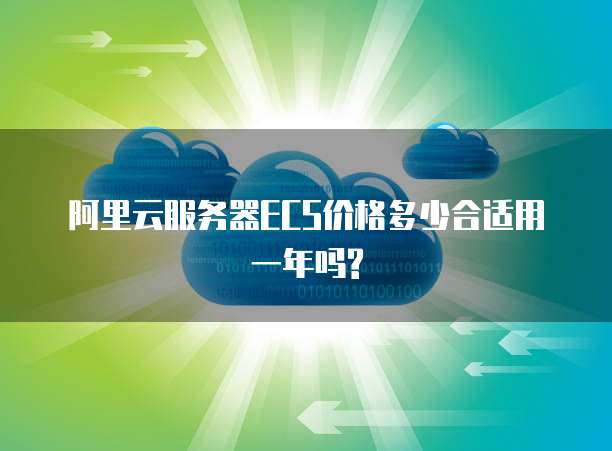 阿里云服务器ECS价格多少合适用一年吗?