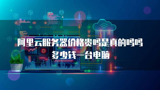 阿里云服务器价格贵吗是真的吗吗多少钱一台电脑