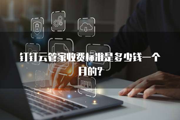 钉钉云管家收费标准是多少钱一个月的?