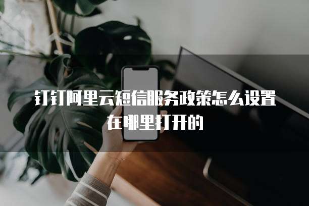 钉钉阿里云短信服务政策怎么设置在哪里打开的
