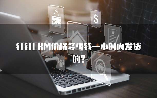 钉钉CRM价格多少钱一小时内发货的?