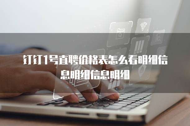 钉钉1号直聘价格表怎么看明细信息明细信息明细