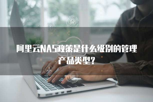 阿里云NAS政策是什么级别的管理产品类型?