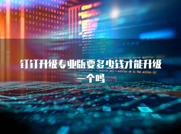 钉钉升级专业版要多少钱才能升级一个吗