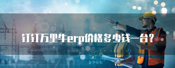 钉钉万里牛erp价格多少钱一台？
