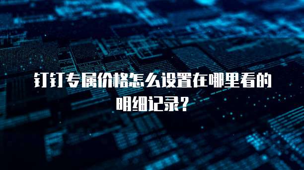 钉钉专属价格怎么设置在哪里看的明细记录?